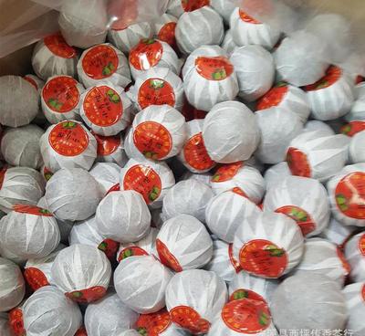 批發(fā)正宗廣東新會(huì)天馬小青柑宮廷普洱小青柑 新會(huì)柑普茶一顆一泡