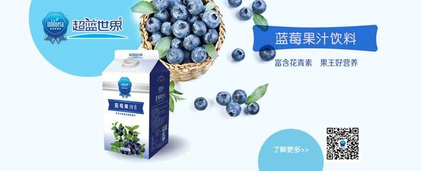 江蘇伊云貝爾飲料股份-善融商務個人商城專營飲料(果汁及蔬菜汁類)生產;預包裝食品*與零售